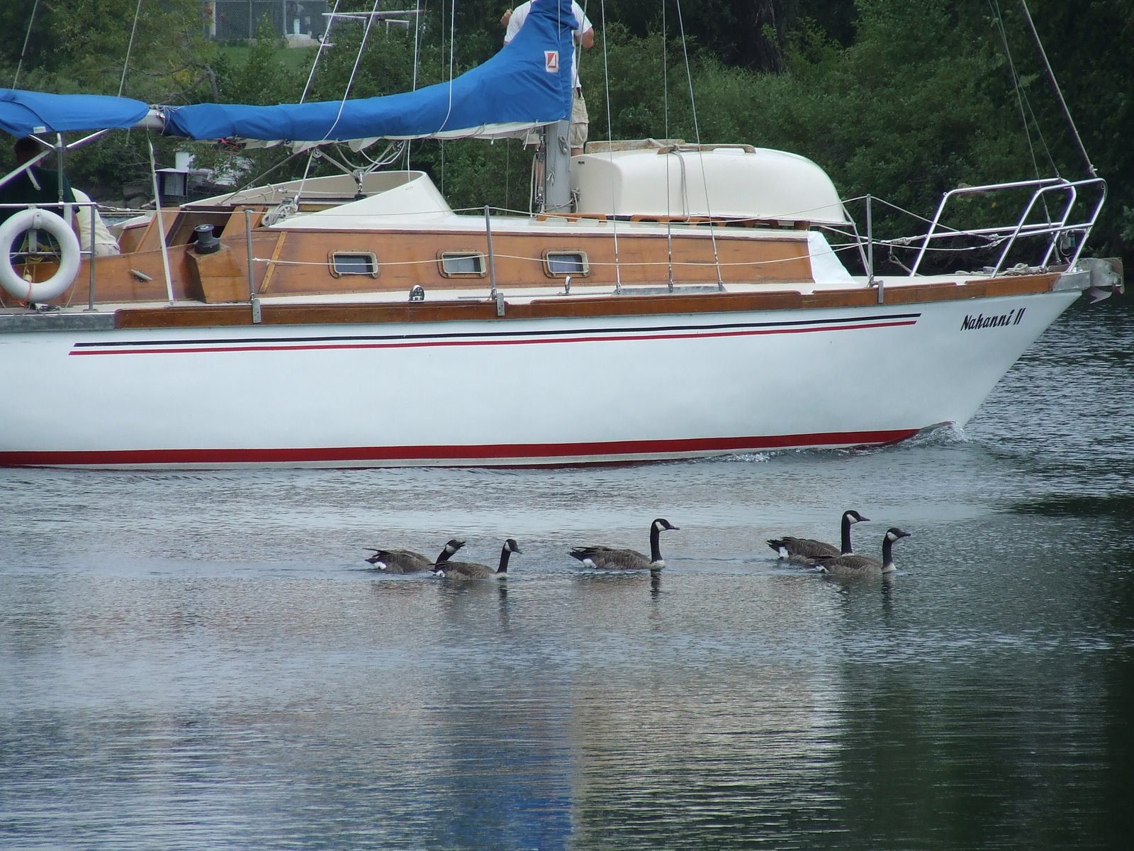 Some duckies competing against a boat. They did better in the flying round.