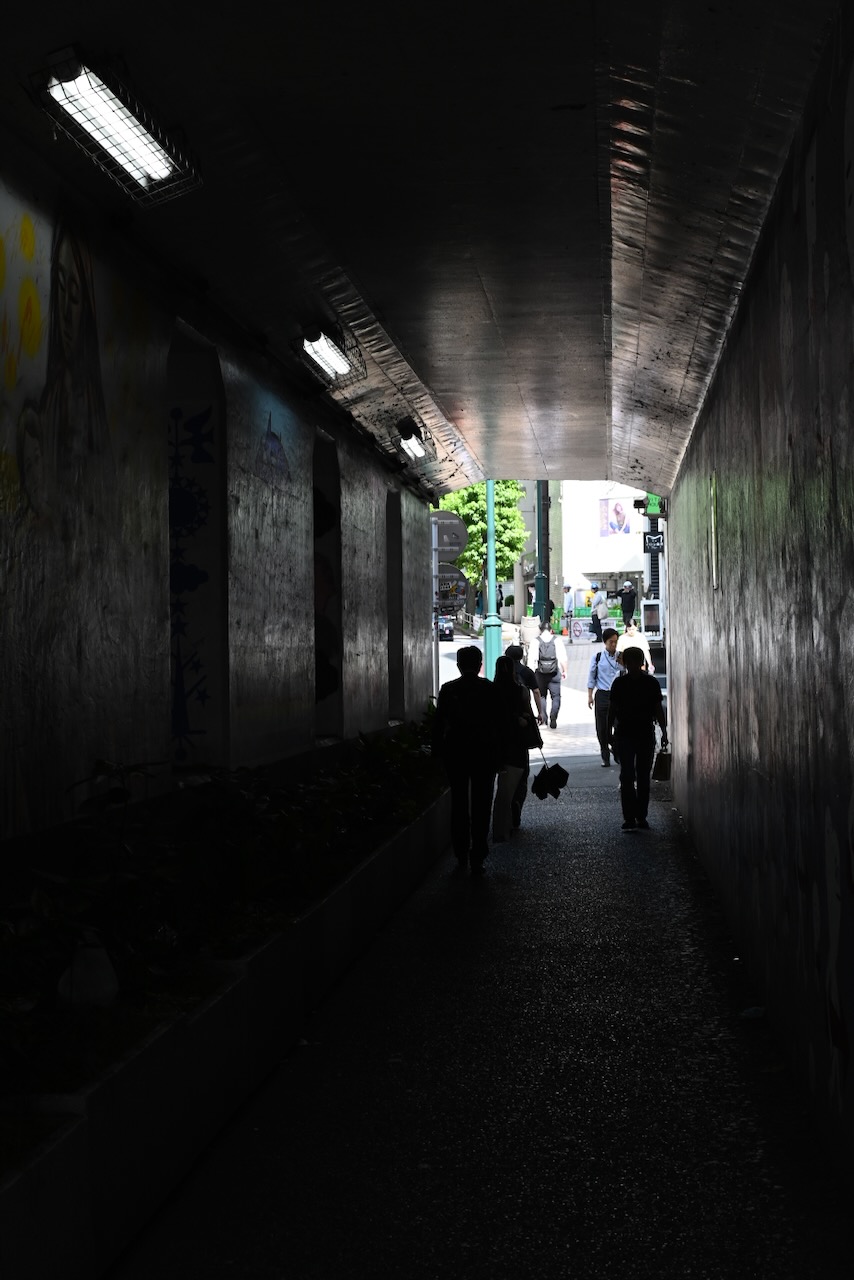 DSC_0366
