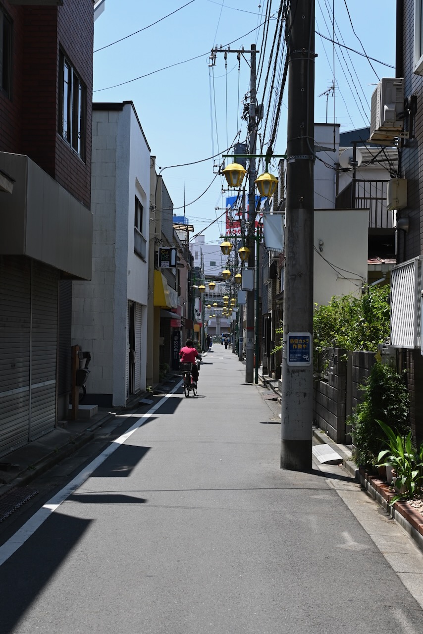DSC_0485