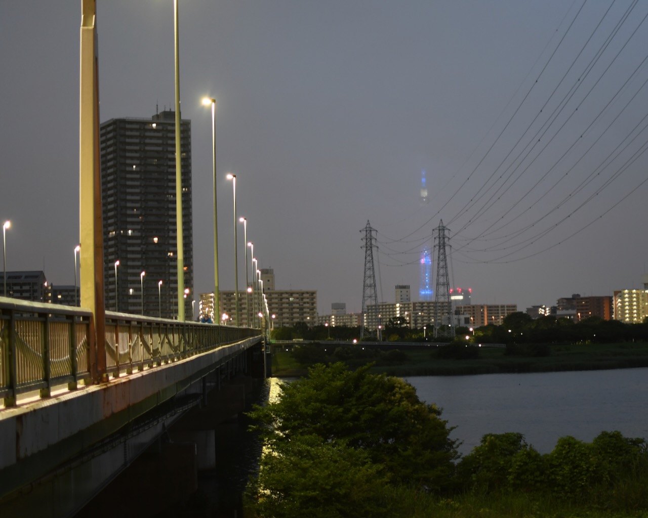 DSC_1039