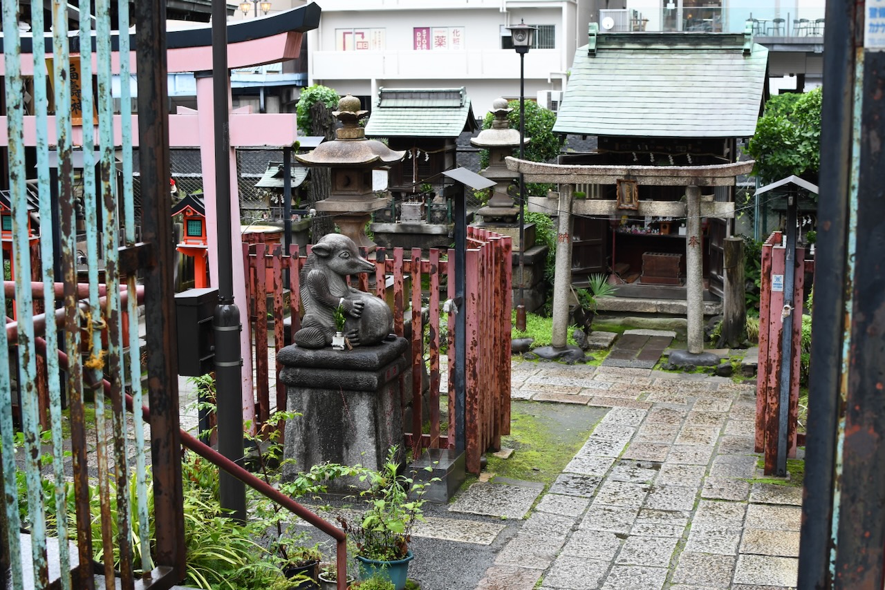 DSC_1182